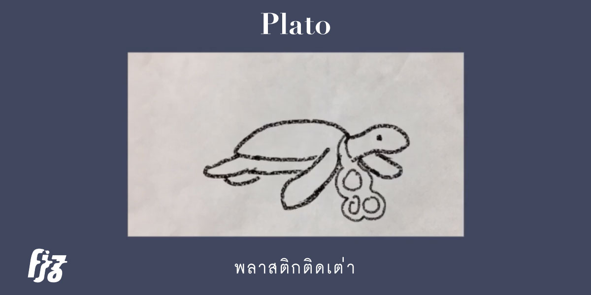 พลาสติกติดเต่า Plato