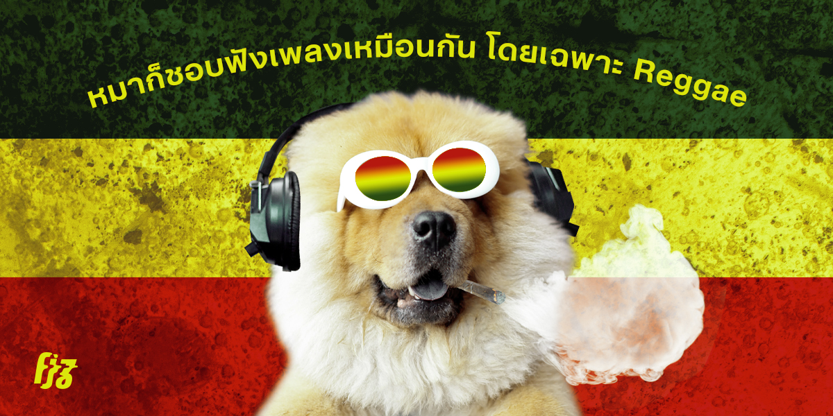 น้องหมาชอบฟังเพลง