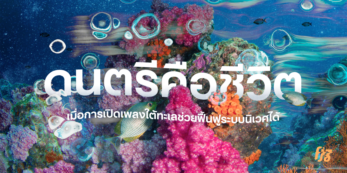 ดนตรีคือชีวิต เมื่อการเปิดเพลงใต้ทะเล ช่วยฟื้นฟูระบบนิเวศได้