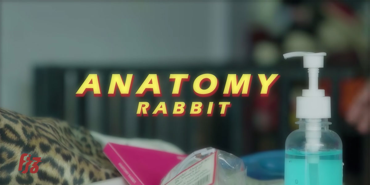 Anatomy Rabbit ส่งเพลงให้แฟน ๆ ด้วยความเป็นห่วง ‘อย่าไปไหนเลย’