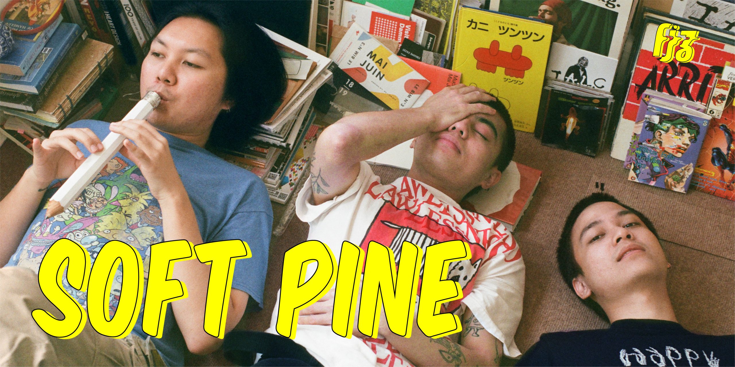softpine-2nd-interview